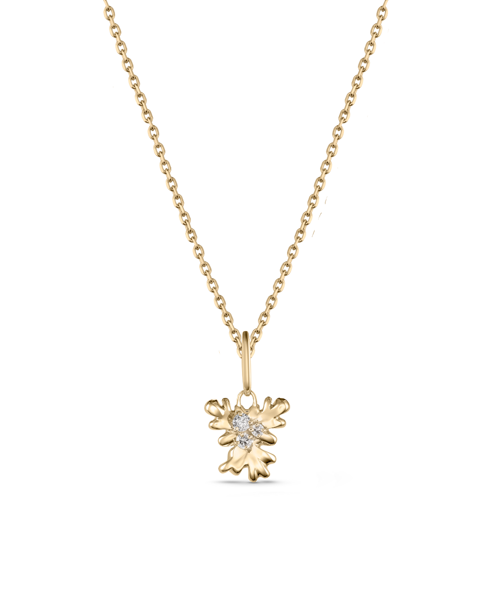 Isola Coral Attachment
