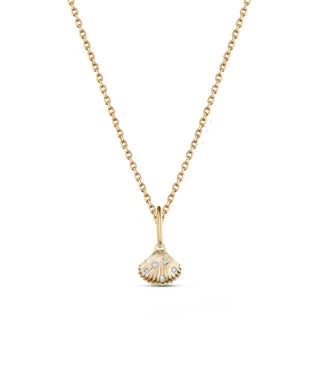 Venus Shell Attachment