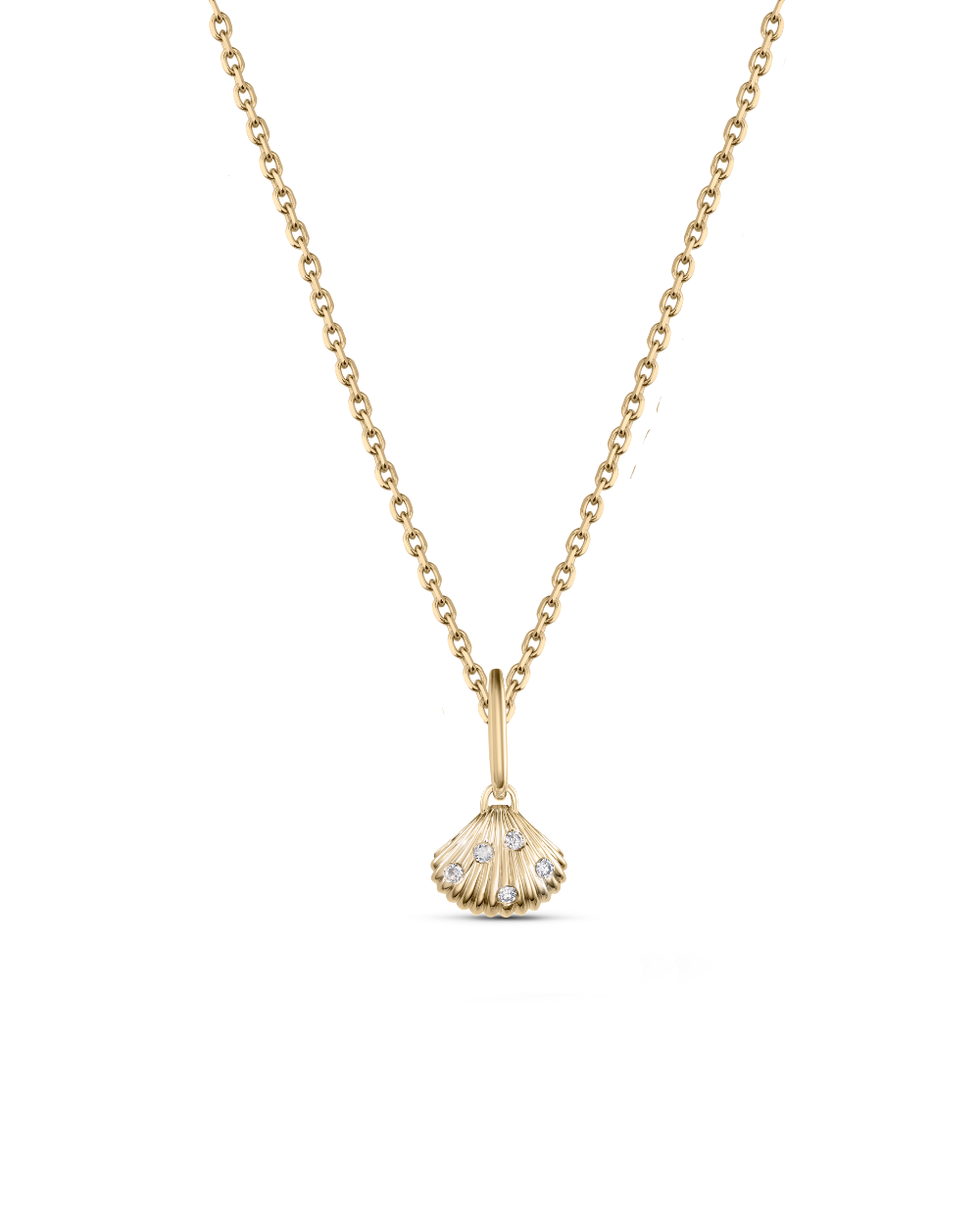 Venus Shell Attachment