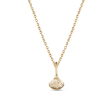 Venus Shell Attachment