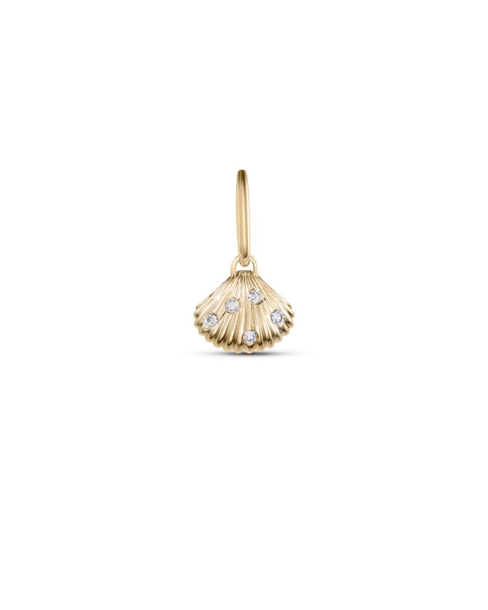 Venus Shell Attachment