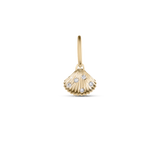 Venus Shell Attachment