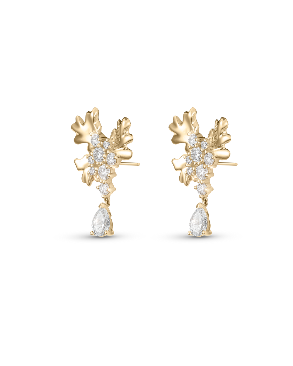Isola Coral Earrings
