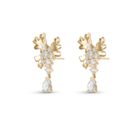 Isola Coral Earrings