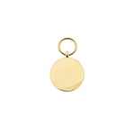 Linked for Life Disc Charm