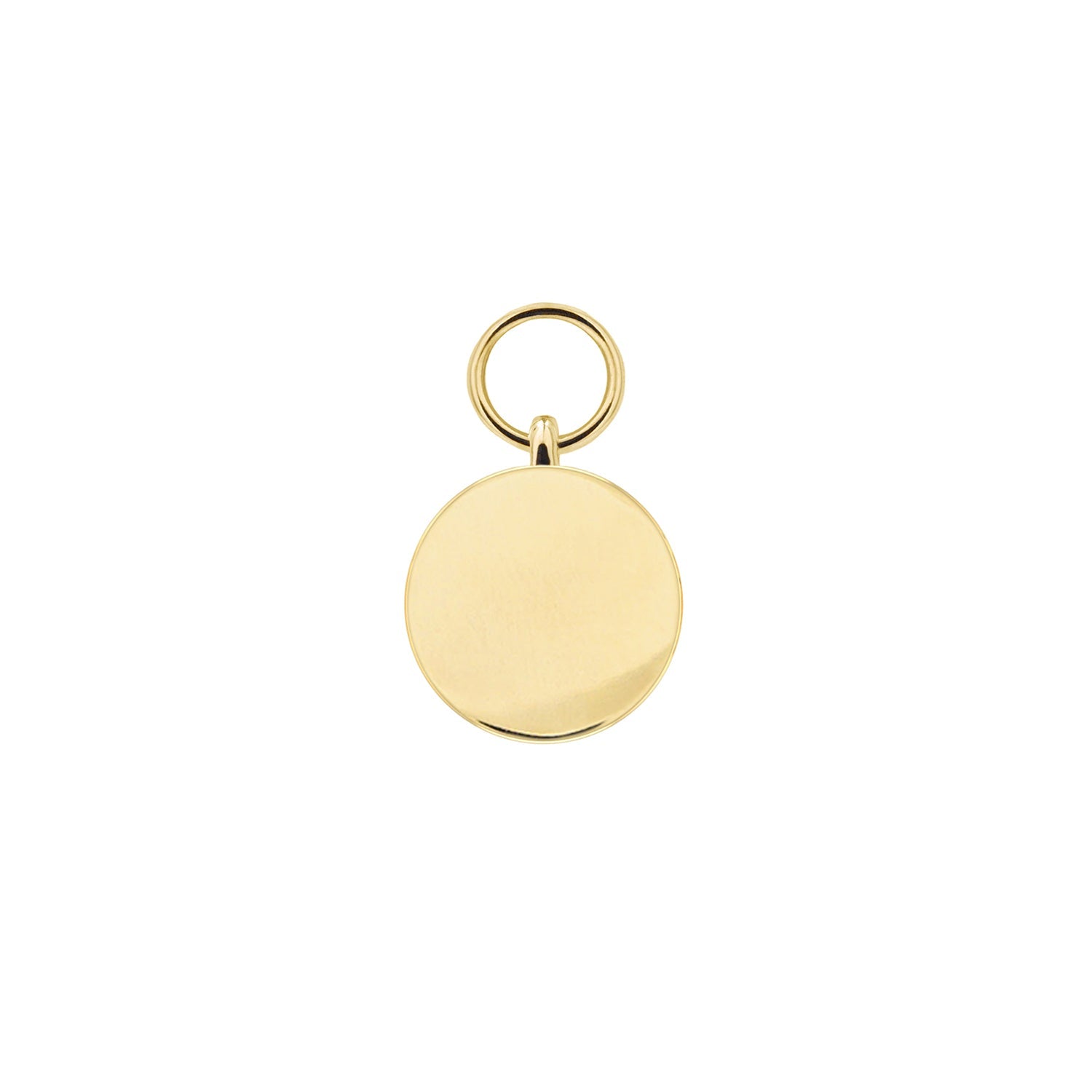 Linked for Life Disc Charm