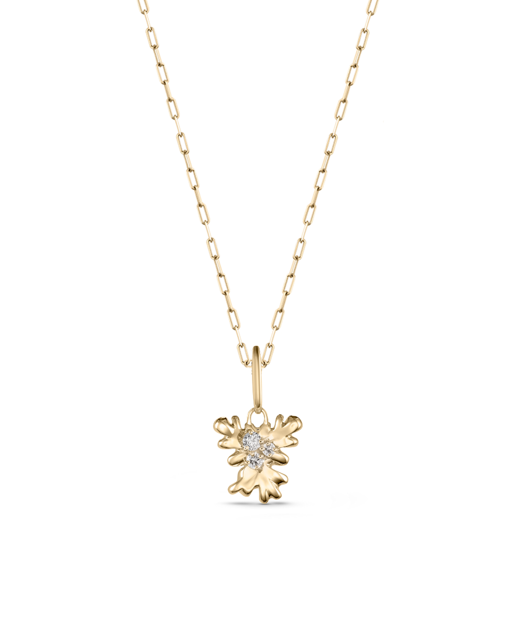 Isola Coral Attachment