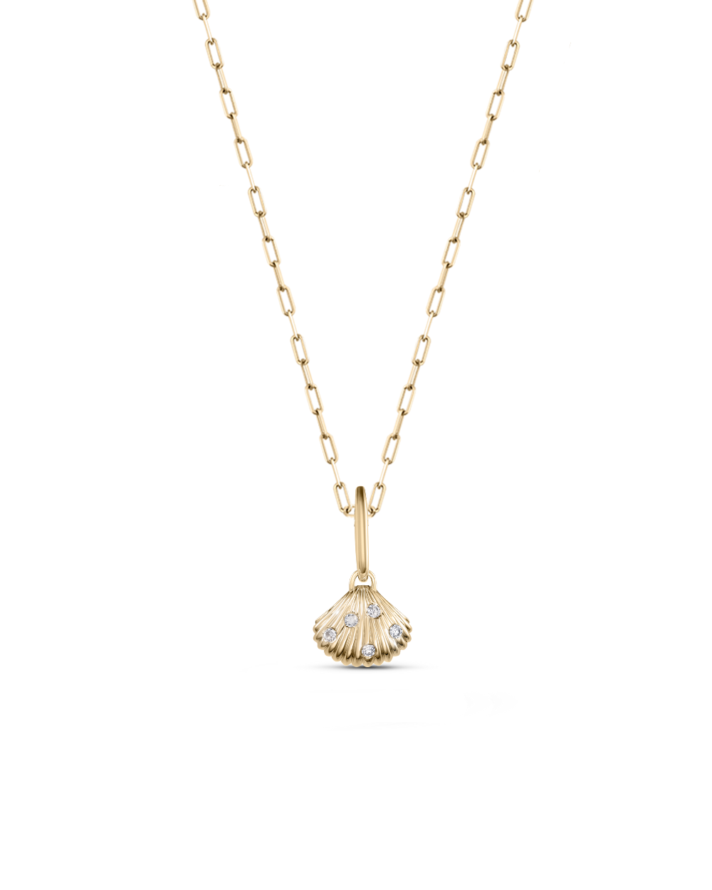 Venus Shell Attachment
