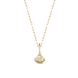 Venus Shell Attachment