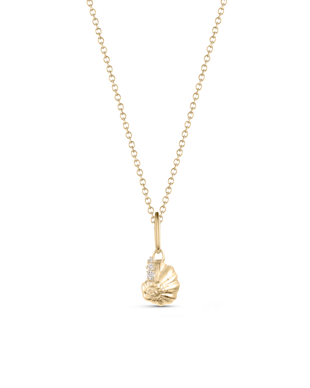 Venus Shell Attachment