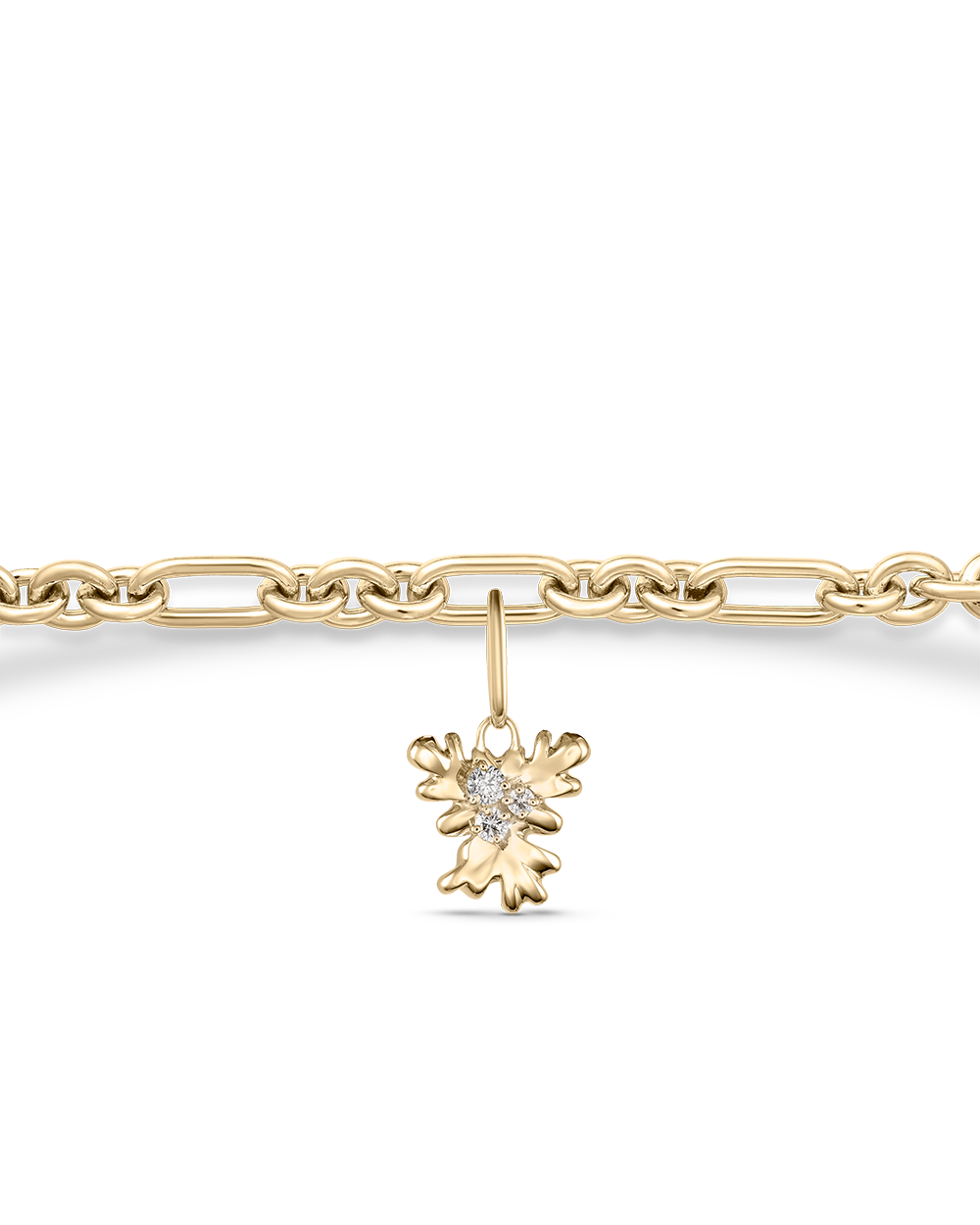 Isola Coral Attachment