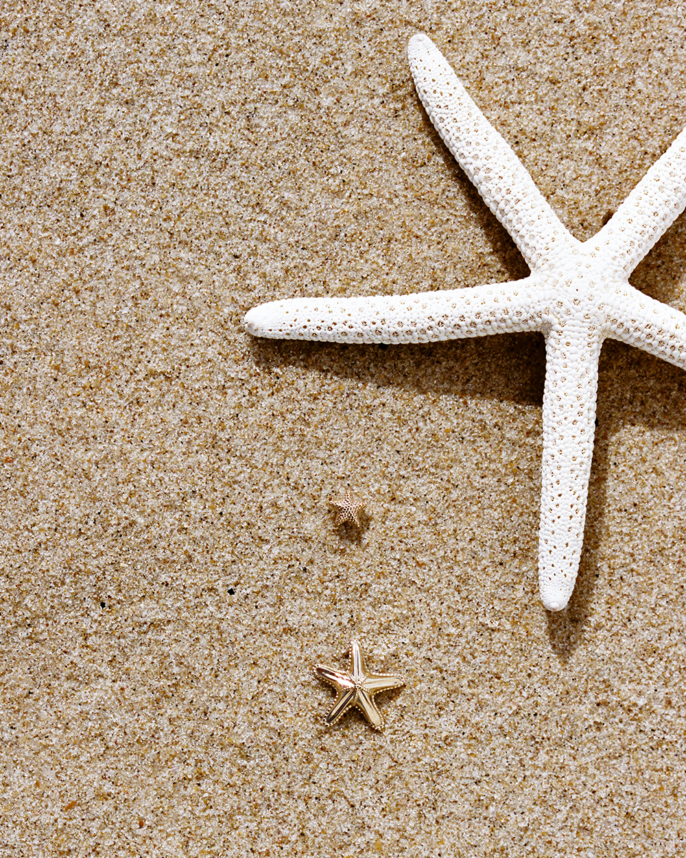 Petite Starfish Studs
