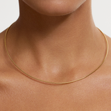 Omega Chain