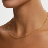 Omega Chain