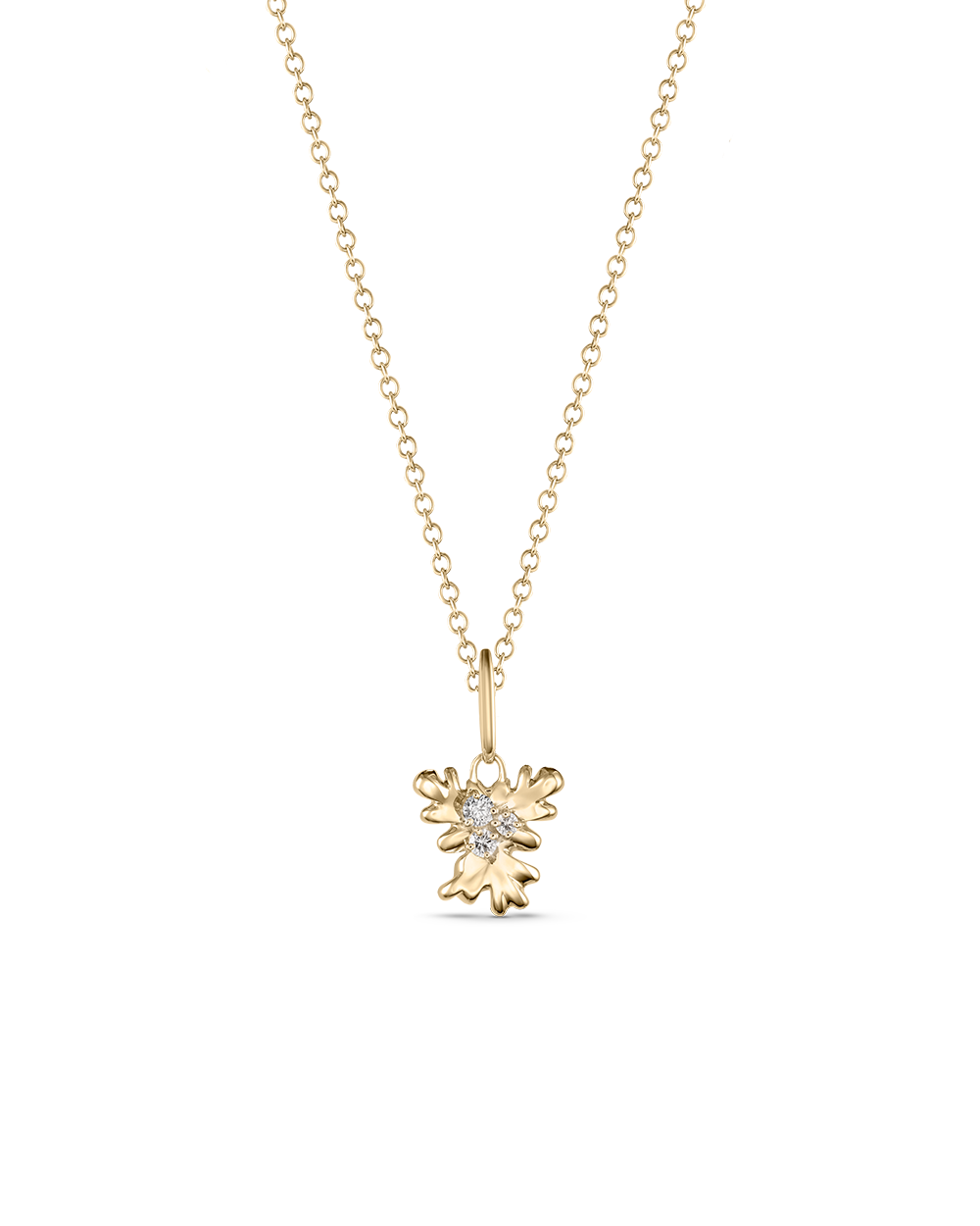 Isola Coral Attachment