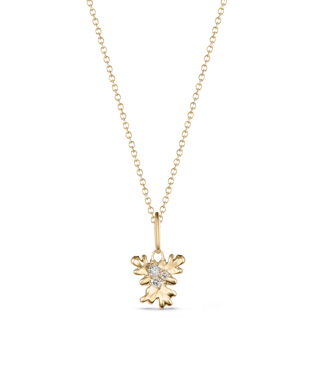 Isola Coral Attachment