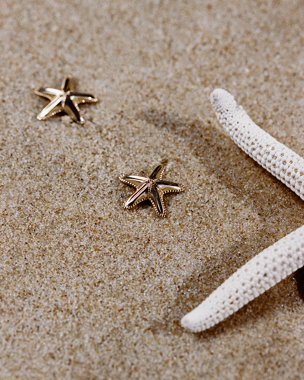 Soleil Starfish Earrings