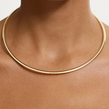 Reversible Omega Chain