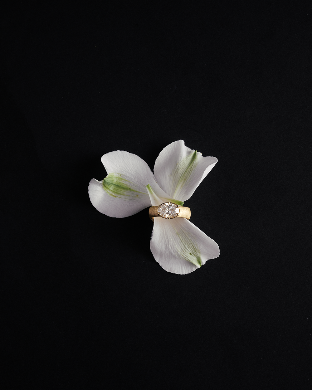 Signature Engagement Rings - Highly Sought After