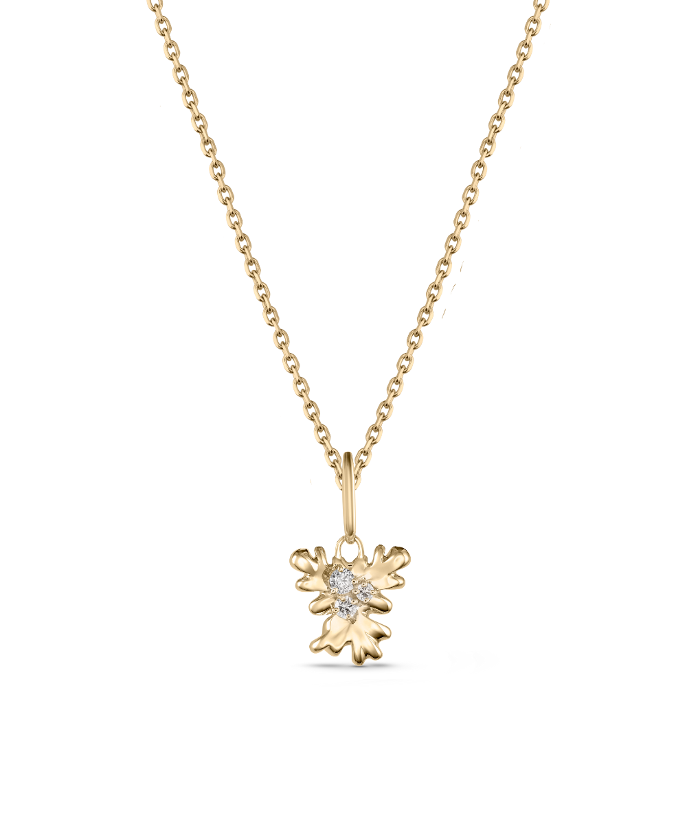 Isola Coral Attachment