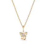 Isola Coral Attachment