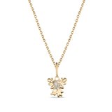 Isola Coral Attachment