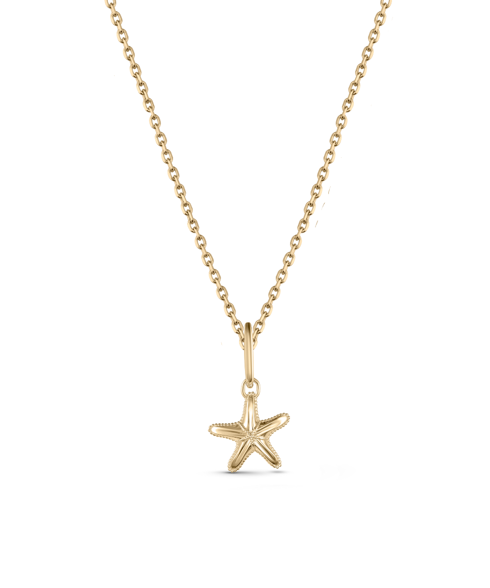 Soleil Starfish Attachment