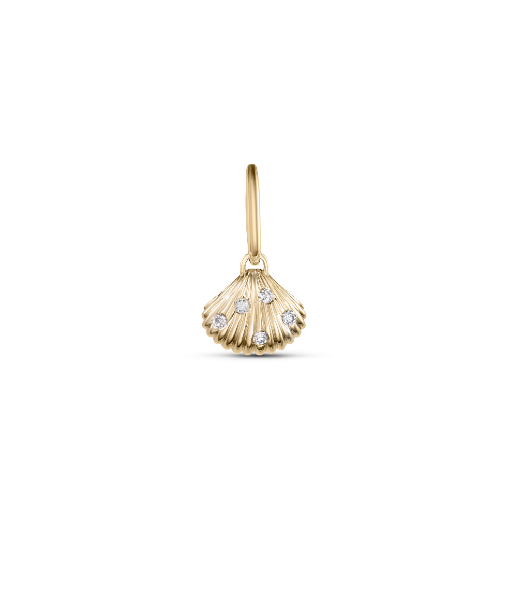 Venus Shell Attachment