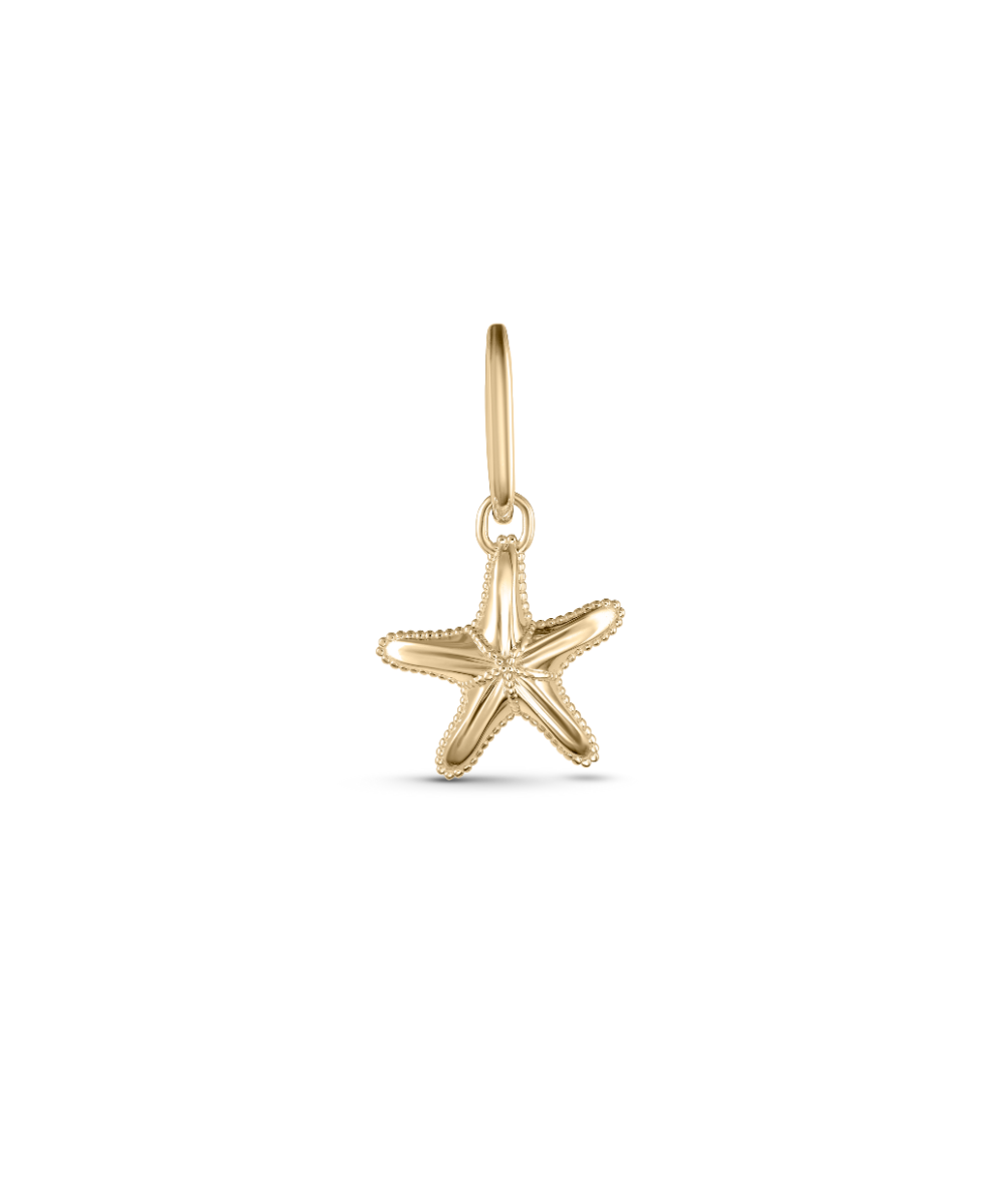 Soleil Starfish Attachment