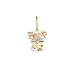 Isola Coral Attachment