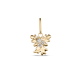 Isola Coral Attachment