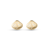 Venus Earrings