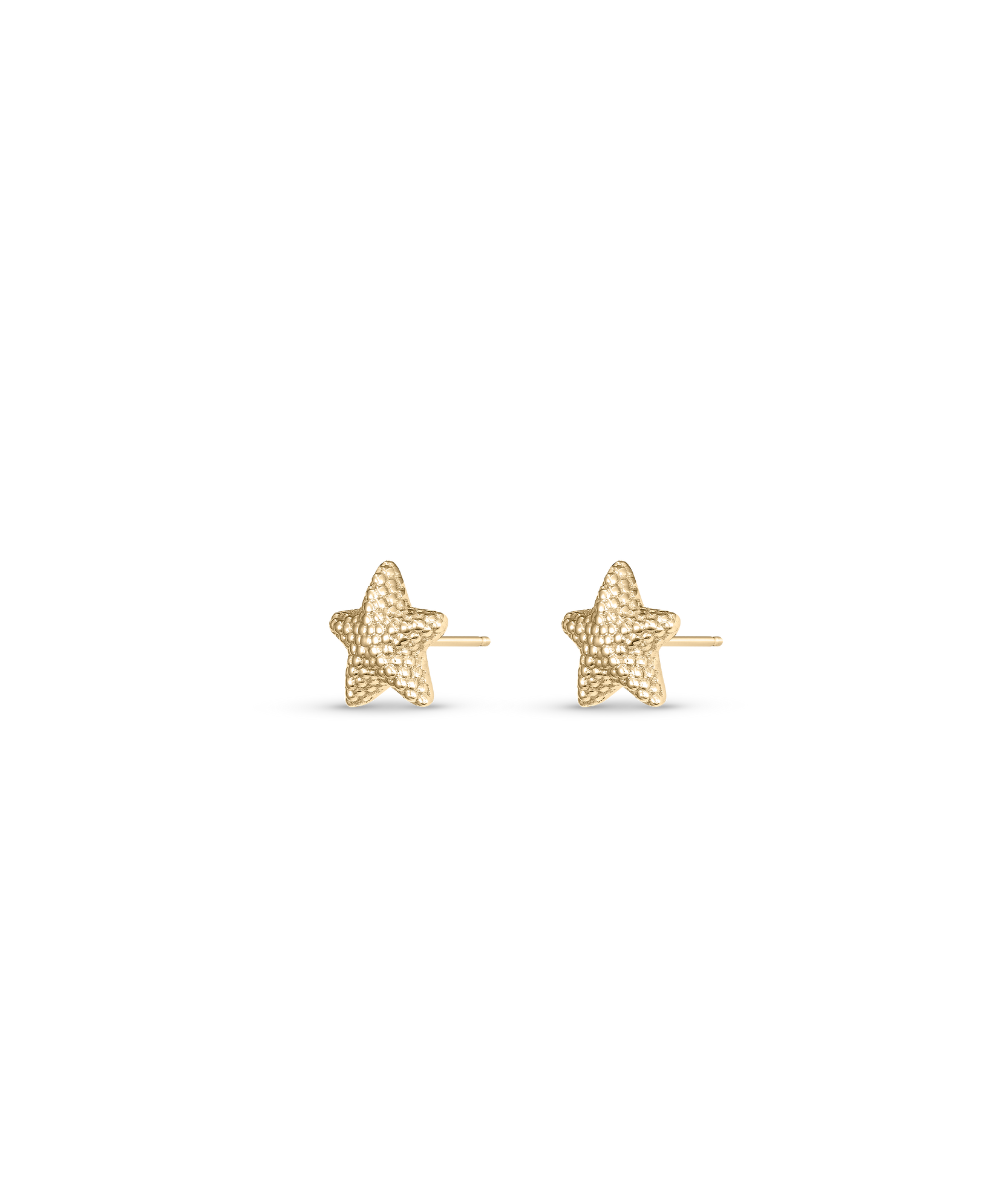 Petite Starfish Studs