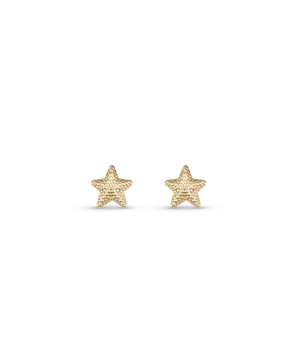 Petite Starfish Studs