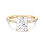 Cate 2.52ct Cushion Cut Engagement Ring with Diamond Band