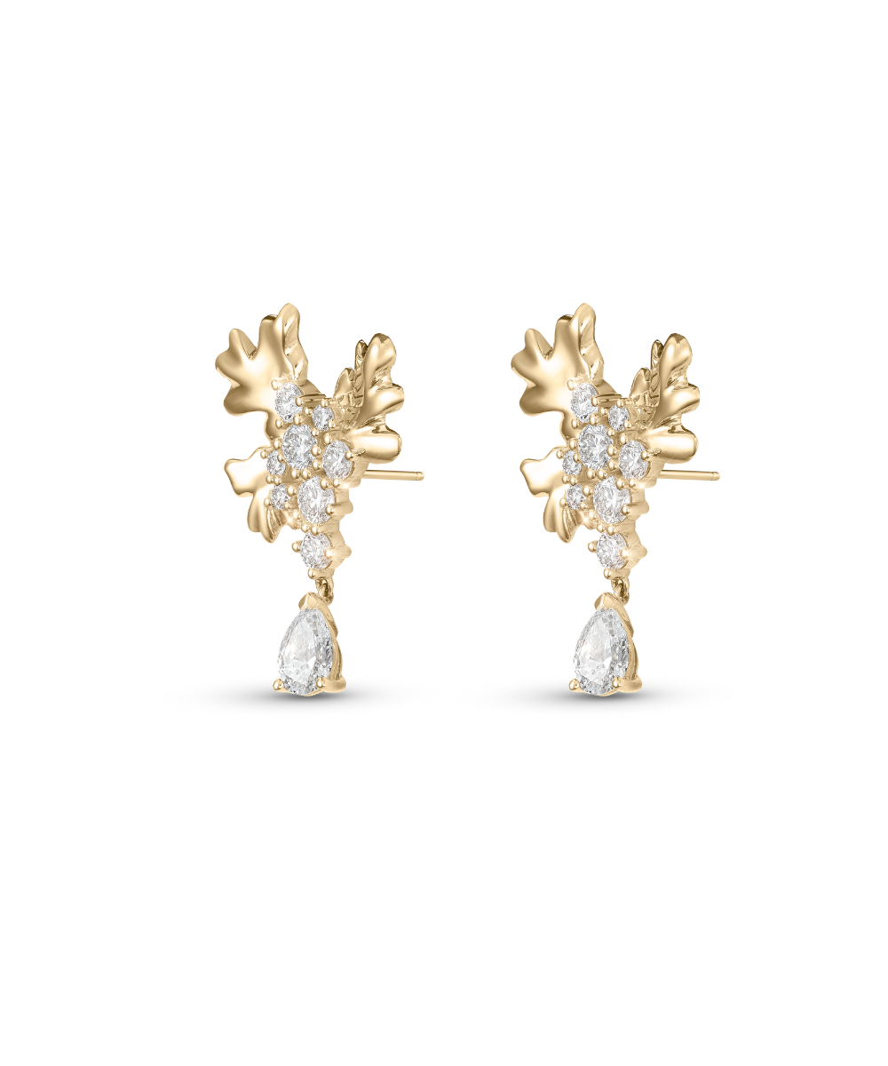 Isola Coral Earrings