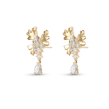 Isola Coral Earrings
