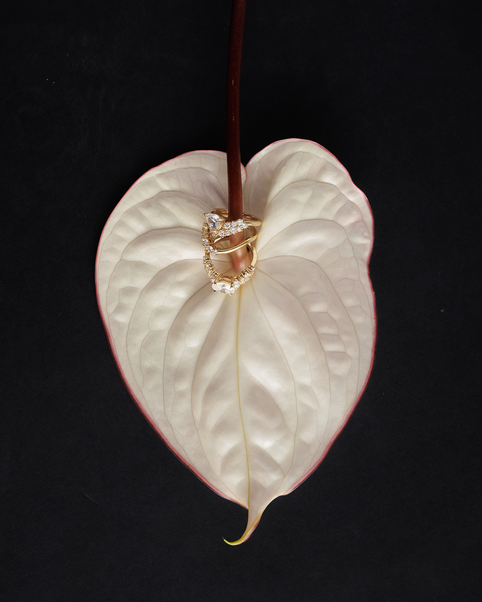 Heart-shaped leaf with a diamond ring on a black background