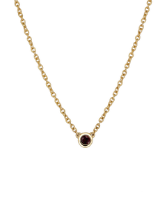 Birthstone Necklace