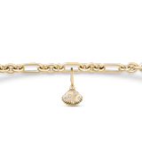 Ariel Shell Attachment