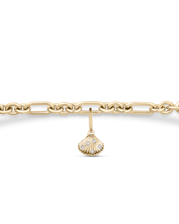 Ariel Shell Attachment