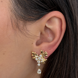 Isola Coral Earrings