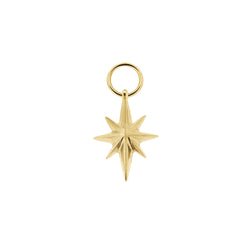 Linked for Life North Star Charm