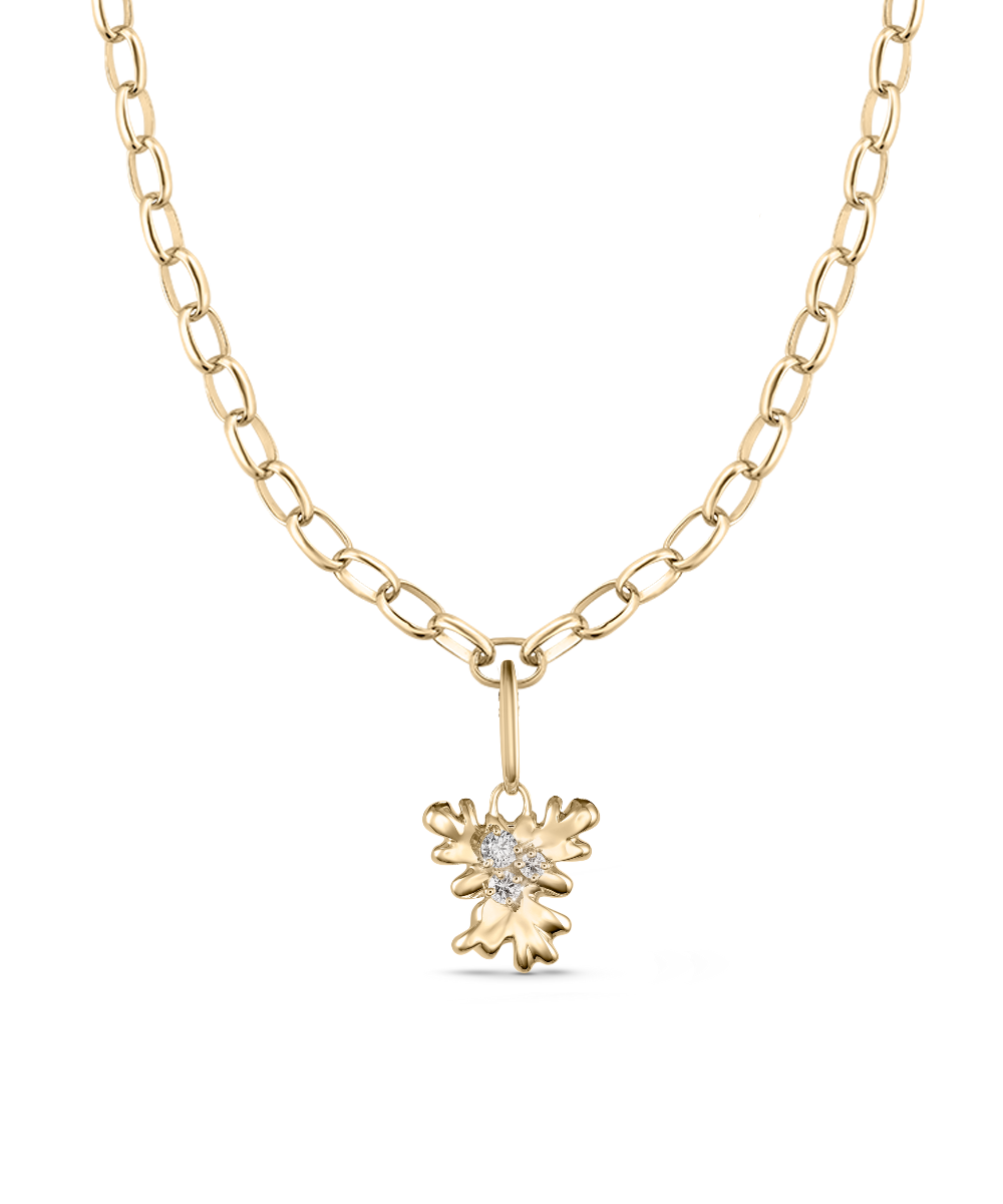 Isola Coral Attachment