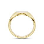 Bold Oval Signet Ring