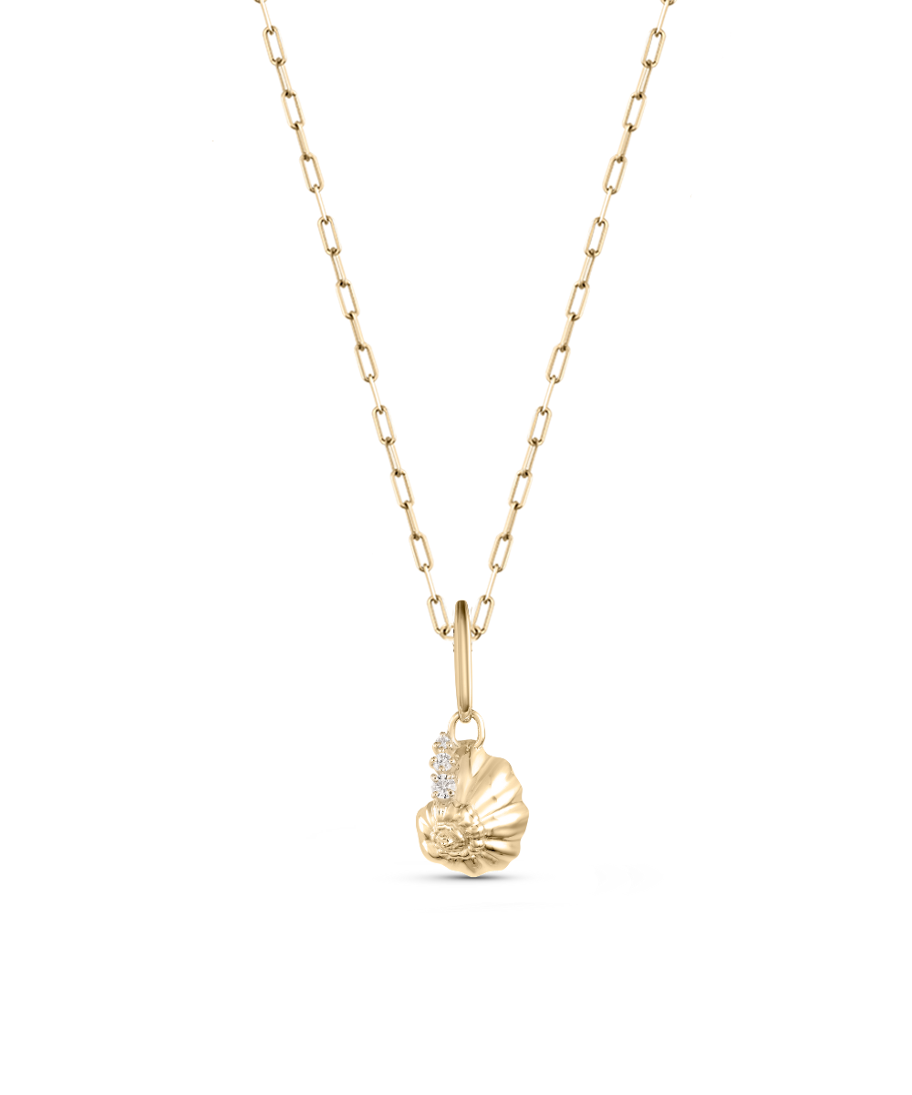 Ariel Shell Attachment