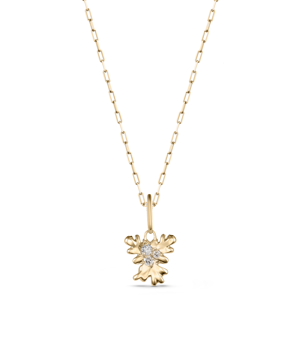 Isola Coral Attachment
