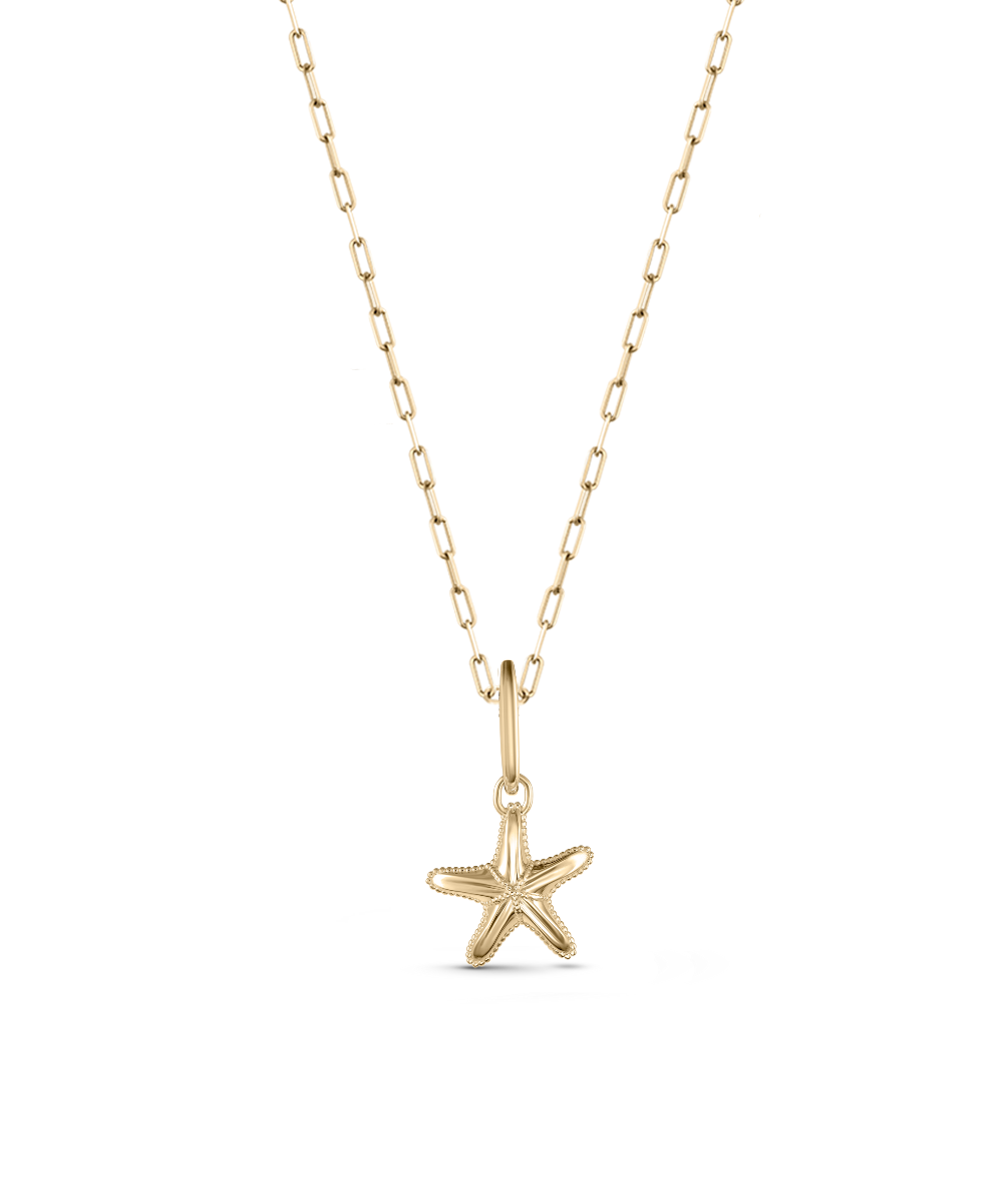 Soleil Starfish Attachment