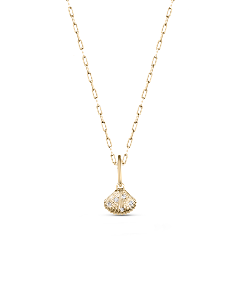 Venus Shell Attachment