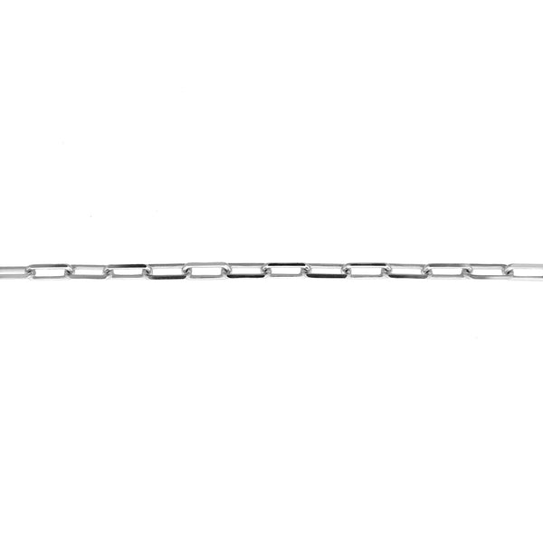 Linked for Life Paperclip Chain Anklet